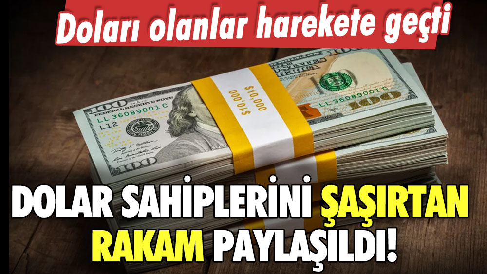 Doları olanlar harekete geçti! Seçim öncesi dikkat çeken rakam paylaşıldı