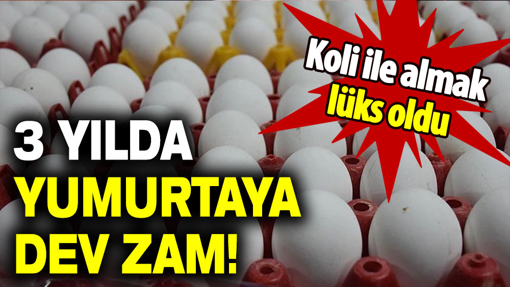 3 yılda yumurtaya dev zam: Koli ile almak lüks oldu!