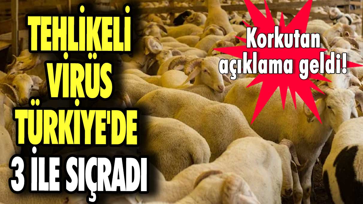 Tehlikeli virüs Türkiye'de 3 ile sıçradı! Korkutan açıklama geldi!