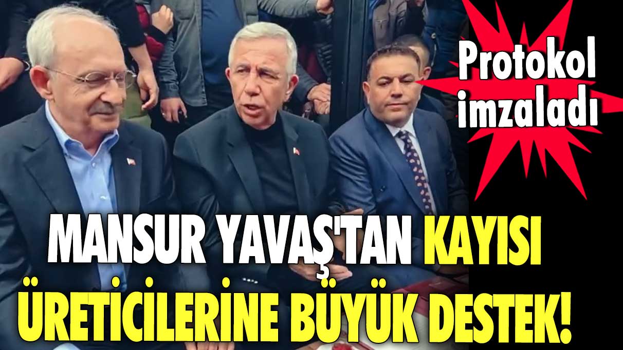 Mansur Yavaş'tan kayısı üreticilerine büyük destek! Protokol imzaladı