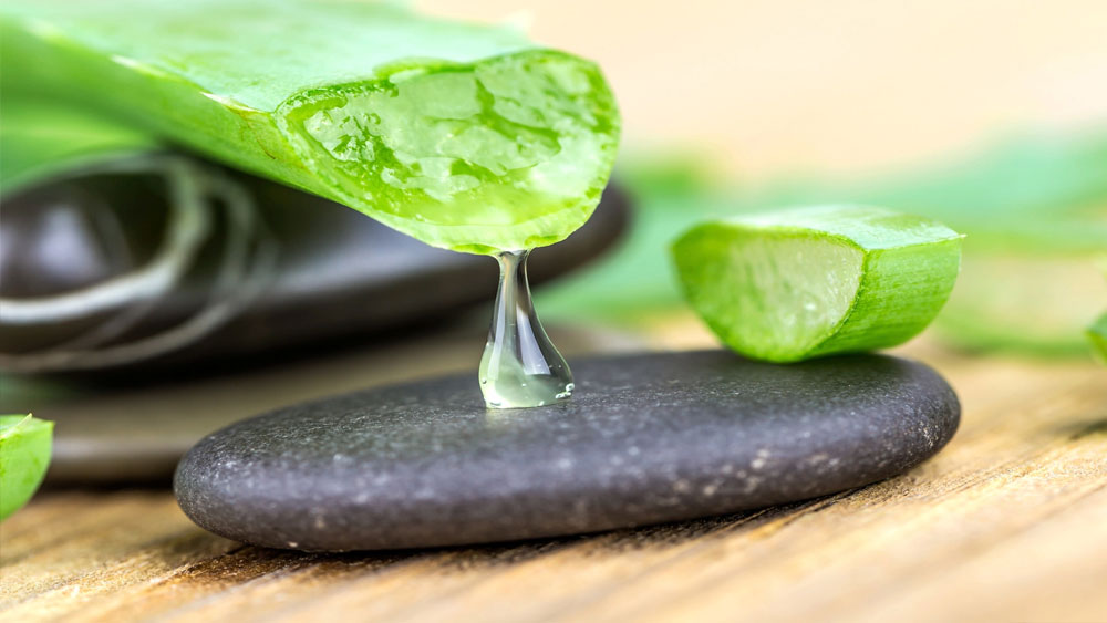 Aloe vera nedir? Faydaları nedelerdir?