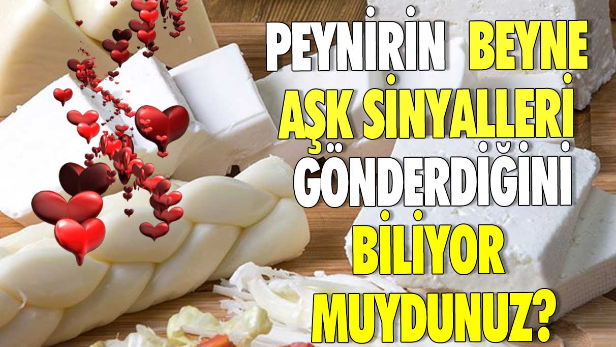 Peynirin beyne aşk sinyalleri gönderdiğini biliyor muydunuz?