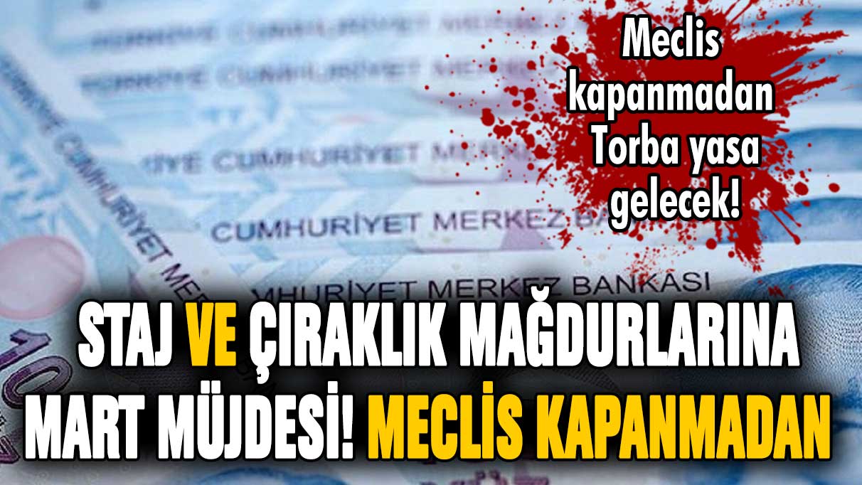 Staj ve çıraklık mağdurlarına Mart müjdesi! Meclis kapanmadan torba yasa gelecek