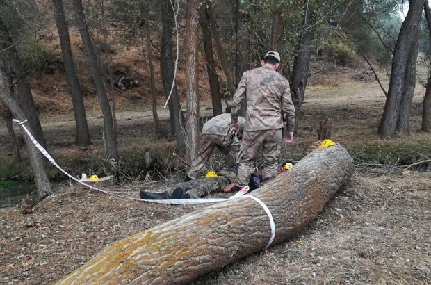 Kestiği ağacın altında kalarak hayatını kaybetti!