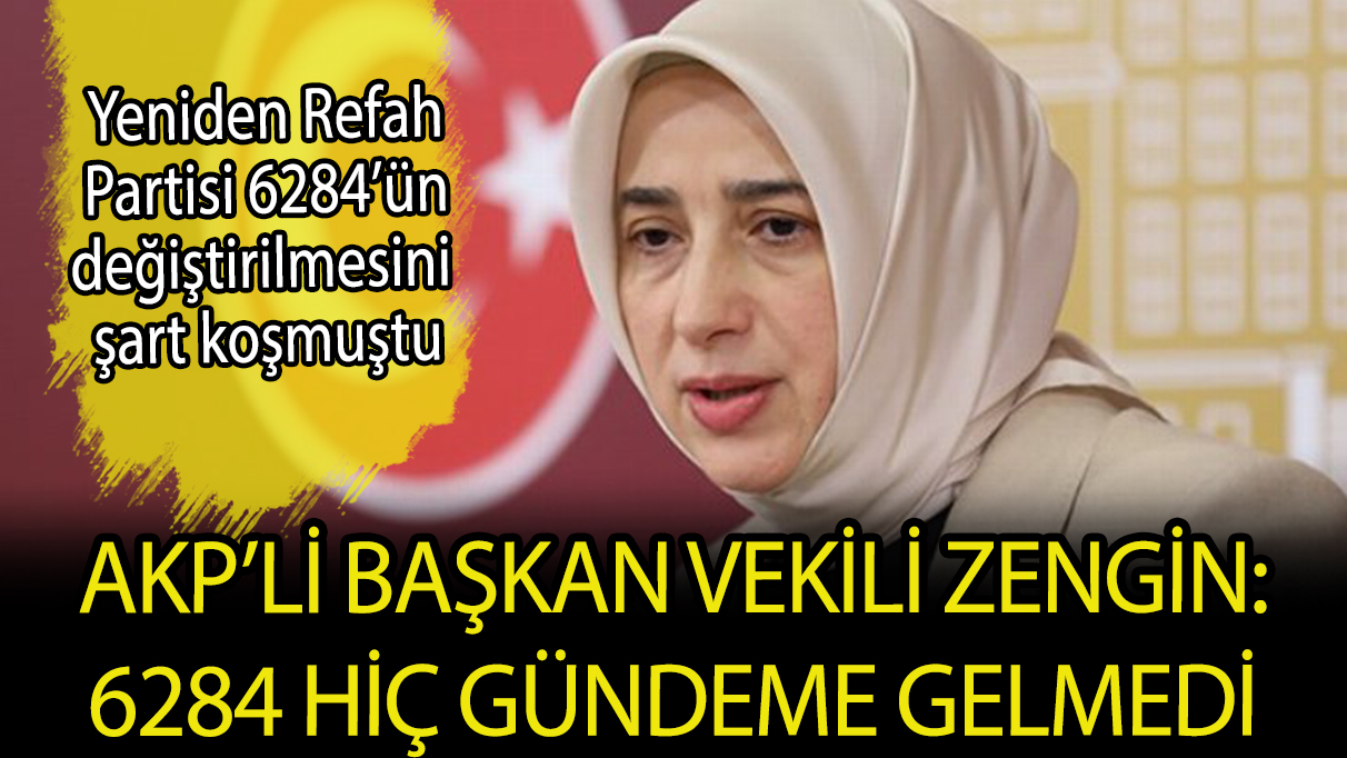 AKP’li başkan vekili Zengin: 6284 hiç gündeme gelmedi