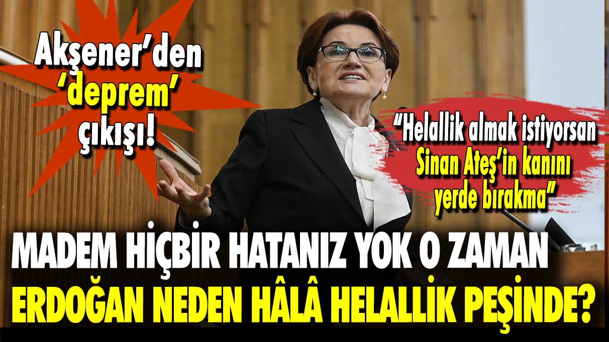 Meral Akşener'den 'deprem' çıkışı: Madem hatanız yok o zaman Erdoğan neden hâlâ helallik peşinde?