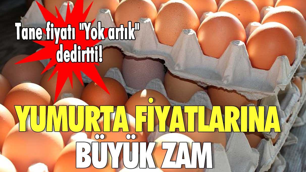 Yumurta fiyatlarına büyük zam! Tane fiyatı "Yok artık" dedirtti!