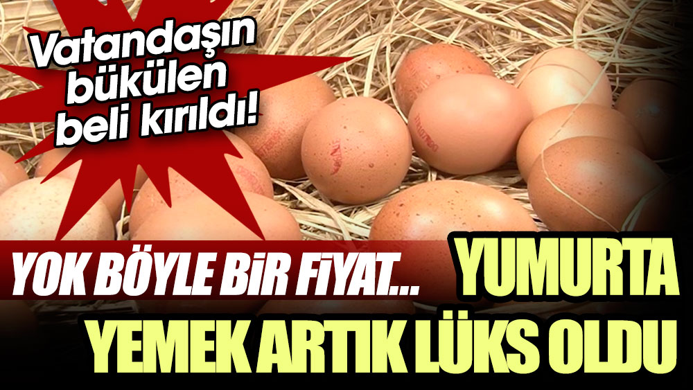 Vatandaşın bükülen beli kırıldı! Yumurta yemek artık lüks oldu