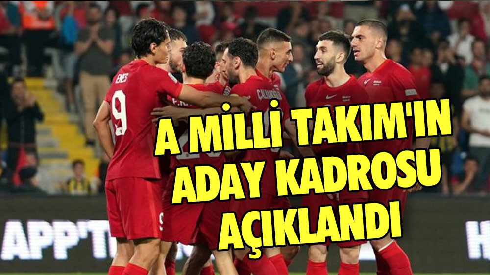 A Milli Takım aday kadrosu açıklandı