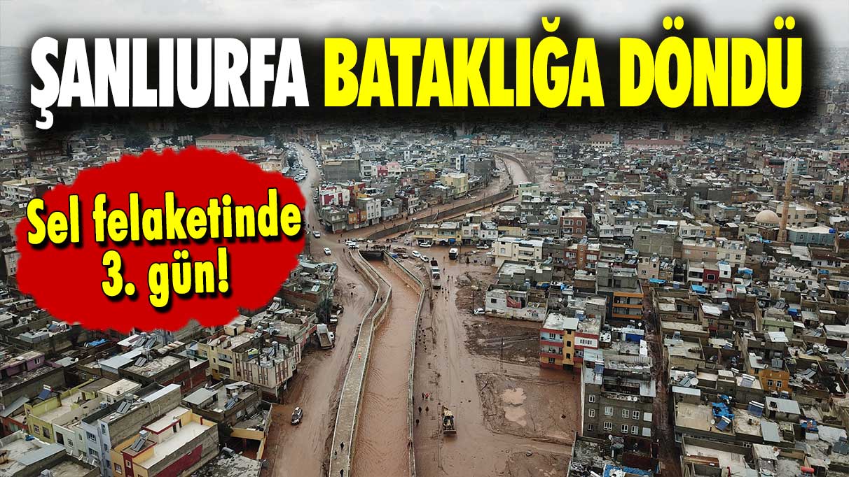 Sel felaketinde 3. gün: Şanlıurfa bataklığa döndü!