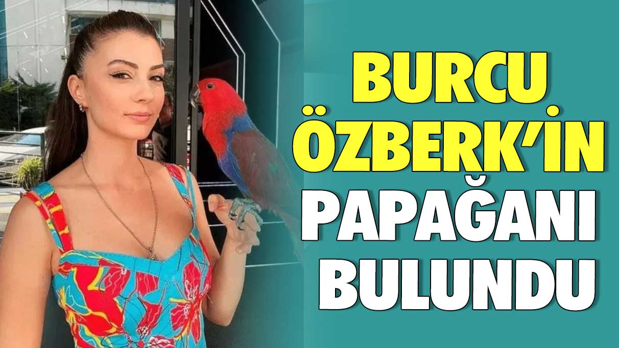 Burcu Özberk’in papağanı bulundu