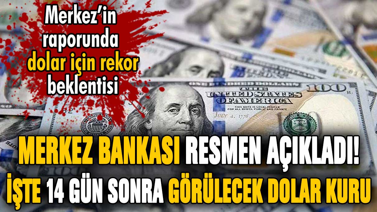 Merkez Bankası resmen açıkladı: İşte 14 gün sonra görülecek dolar kuru