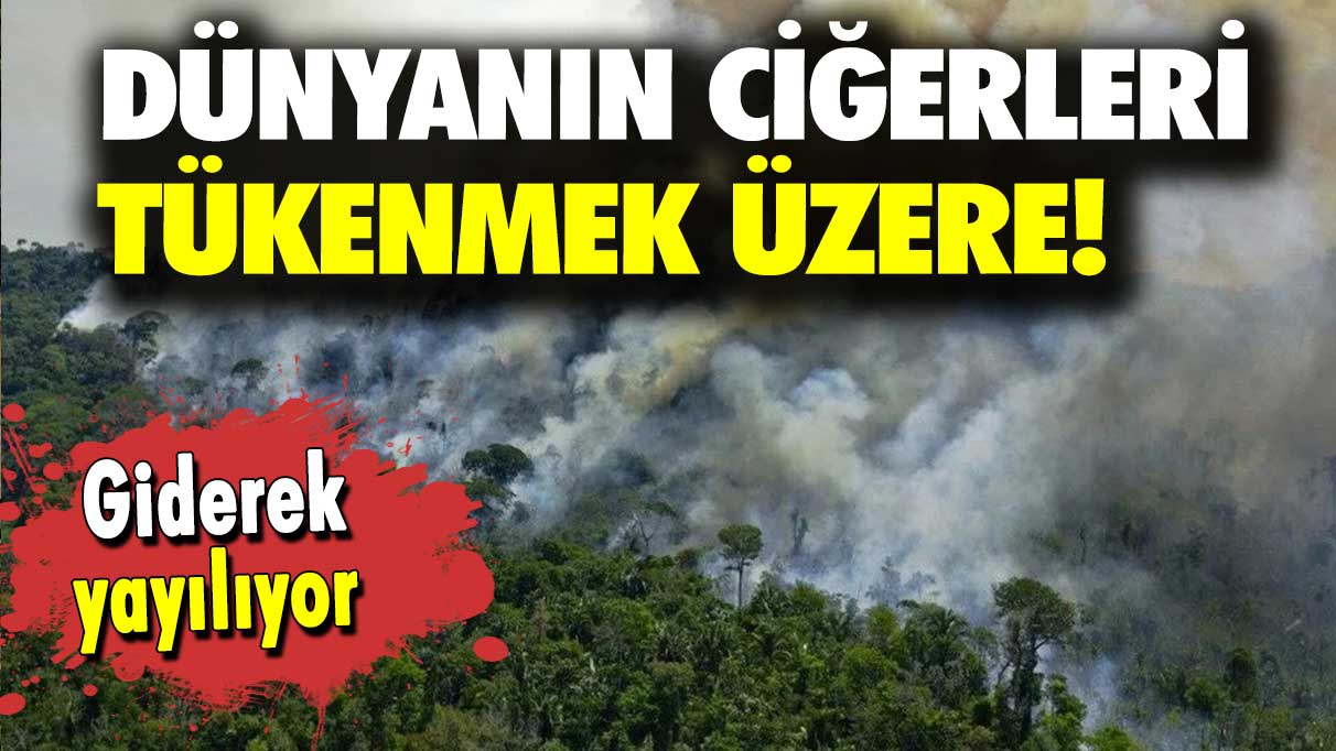 Giderek yayılıyor: Dünyanın ciğerleri tükenmek üzere!