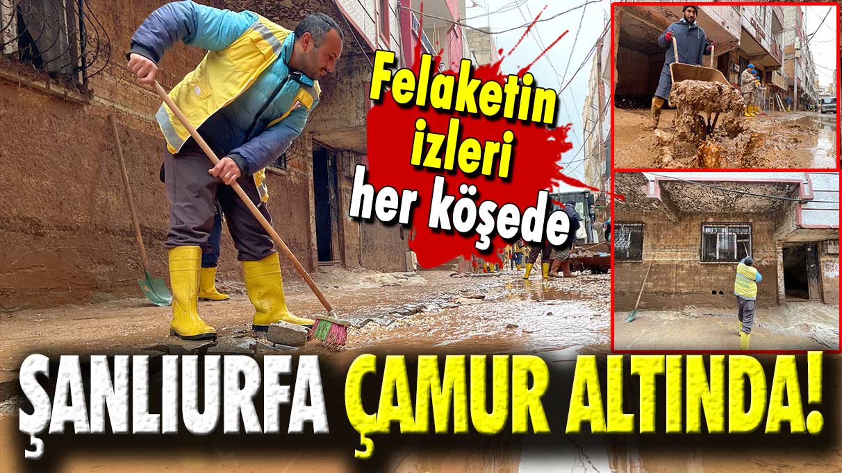 Şanlıurfa çamur altında: Felaketin izleri her köşede!