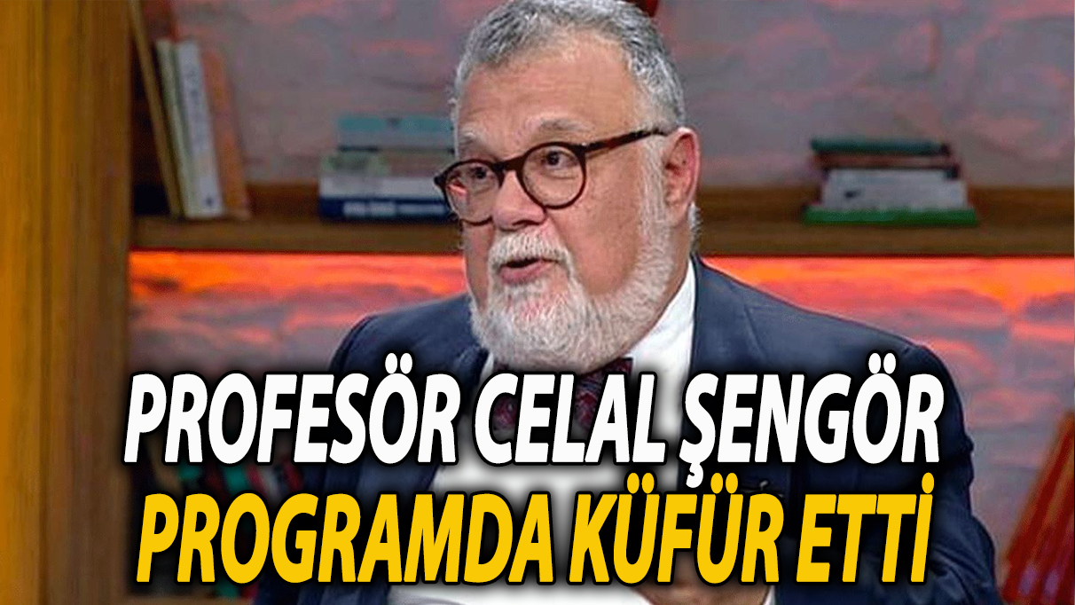 Celal Şengör Teke Tek programında canlı yayında küfür etti