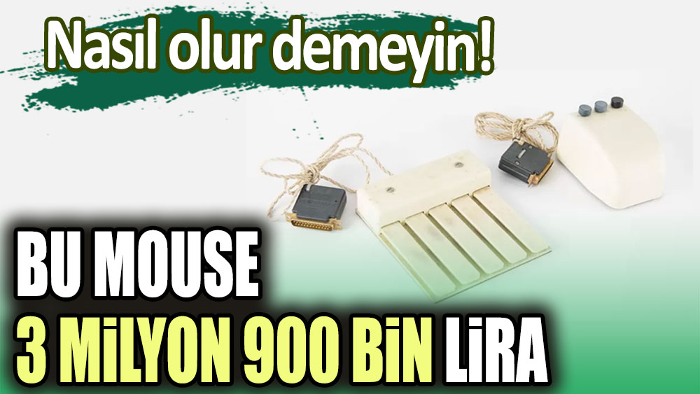 Nasıl olur demeyin! Bu mouse 3 milyon 900 bin lira