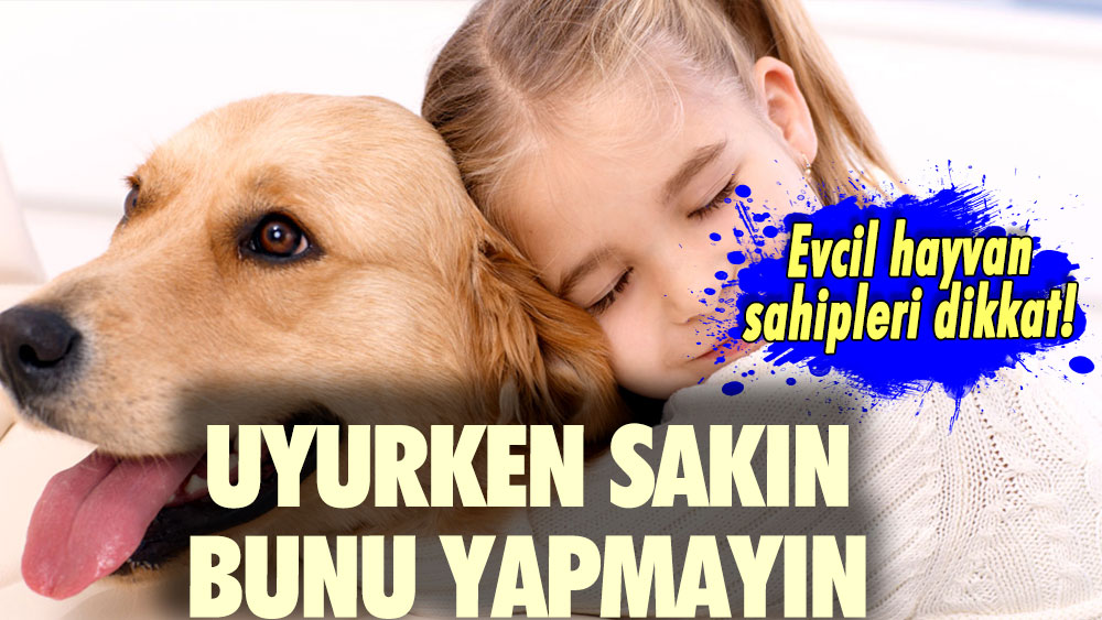 Evcil hayvan sahipleri dikkat! Uyurken sakın bunu yapmayın