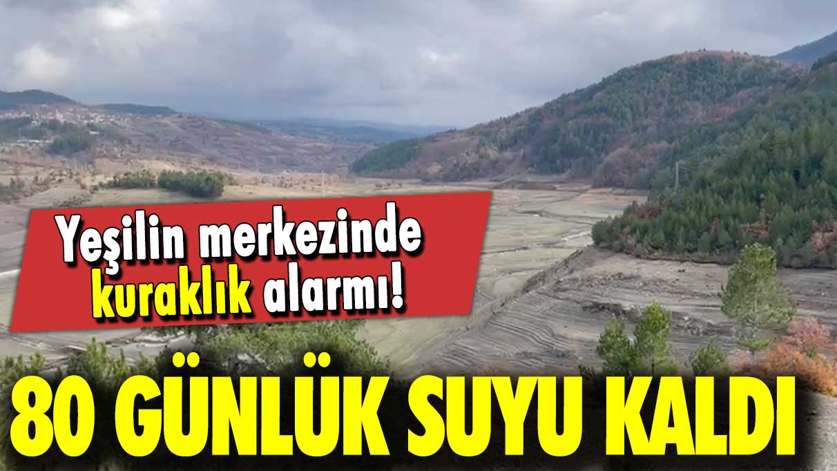 Yeşilin merkezinde kuraklık alarmı: 80 günlük suyu kaldı!