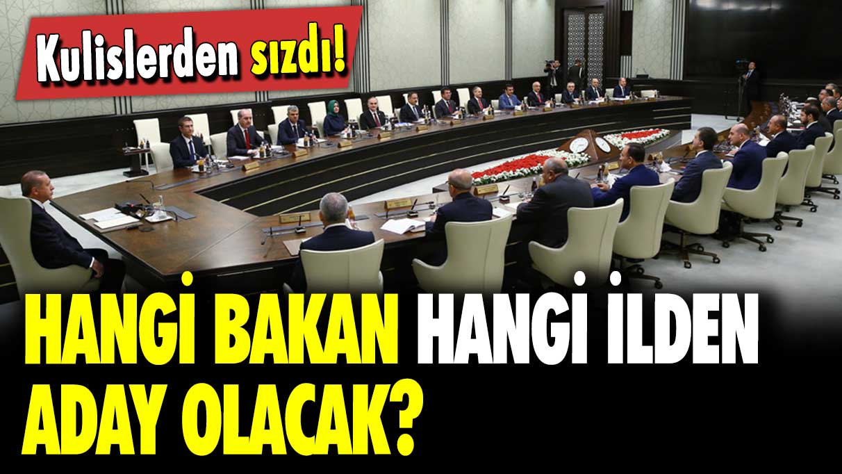 Kulislerden sızdı: Hangi bakan hangi ilden aday olacak?