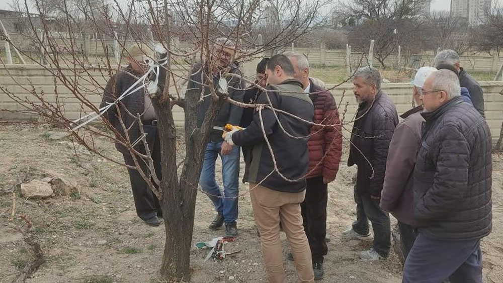 Melikgazi’den arıcılık ekonomisine destek