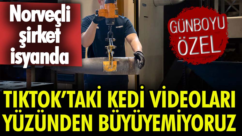 'Tiktok’taki kedi videoları yüzünden büyüyemiyoruz'