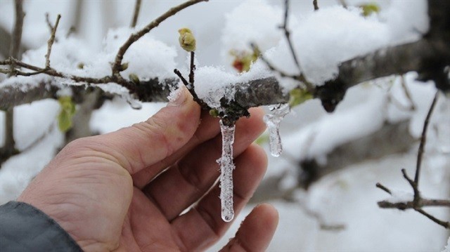 Meteoroloji’den o ile don uyarısı!