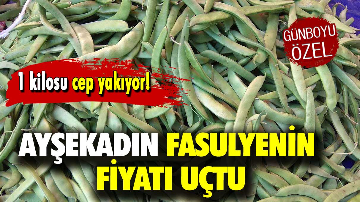 Ayşekadın fasulyenin fiyatı uçtu: 1 kilosu cep yakıyor!