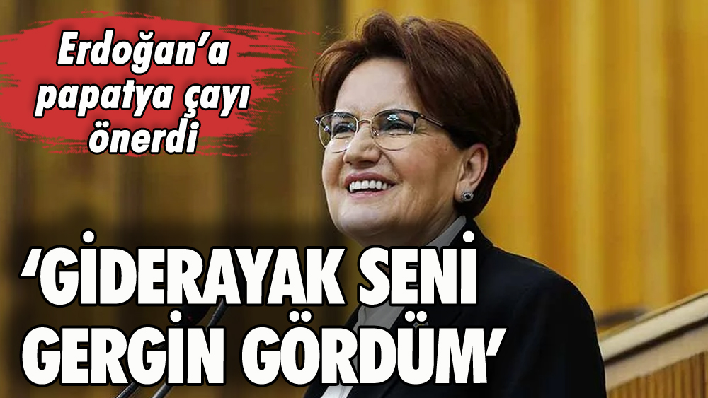 Akşener'den Erdoğan'a papatya çayı önerisi: 'Giderayak seni gergin gördüm'