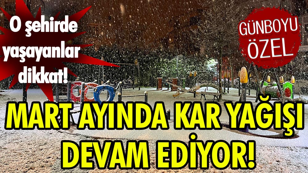 Mart ayında kar yağışı sürüyor!