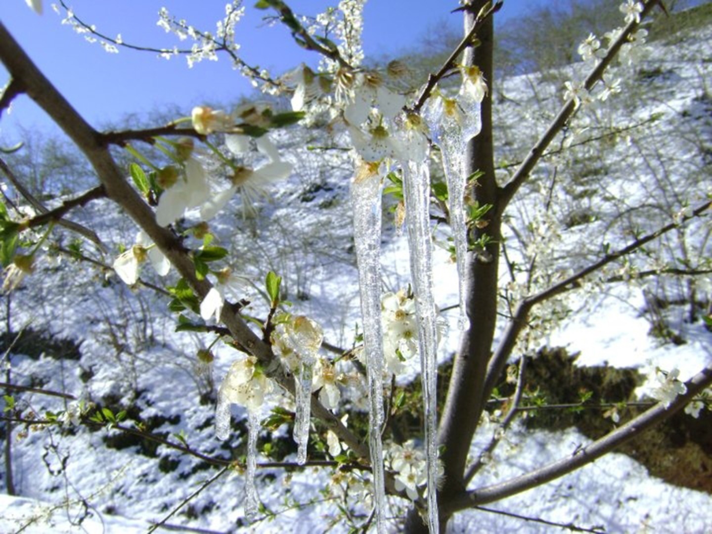 Meteoroloji'den 5 ile don uyarısı!