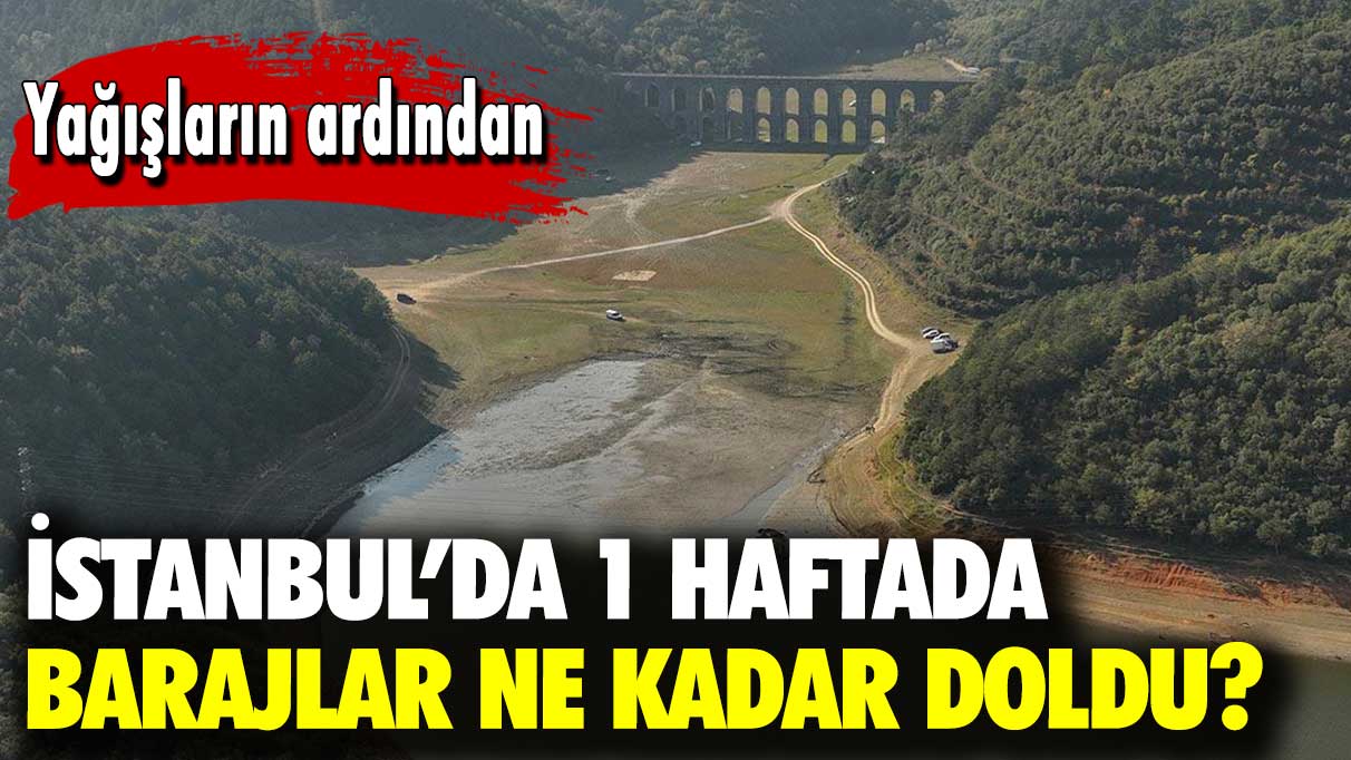 Yağışların ardından: İstanbul’da 1 haftada barajlar ne kadar doldu?