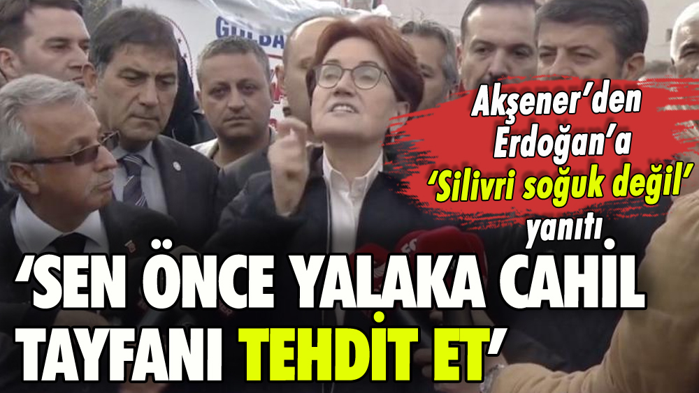 Akşener'den Erdoğan'a yanıt: 'Önce yalaka cahil tayfanı tehdit et'