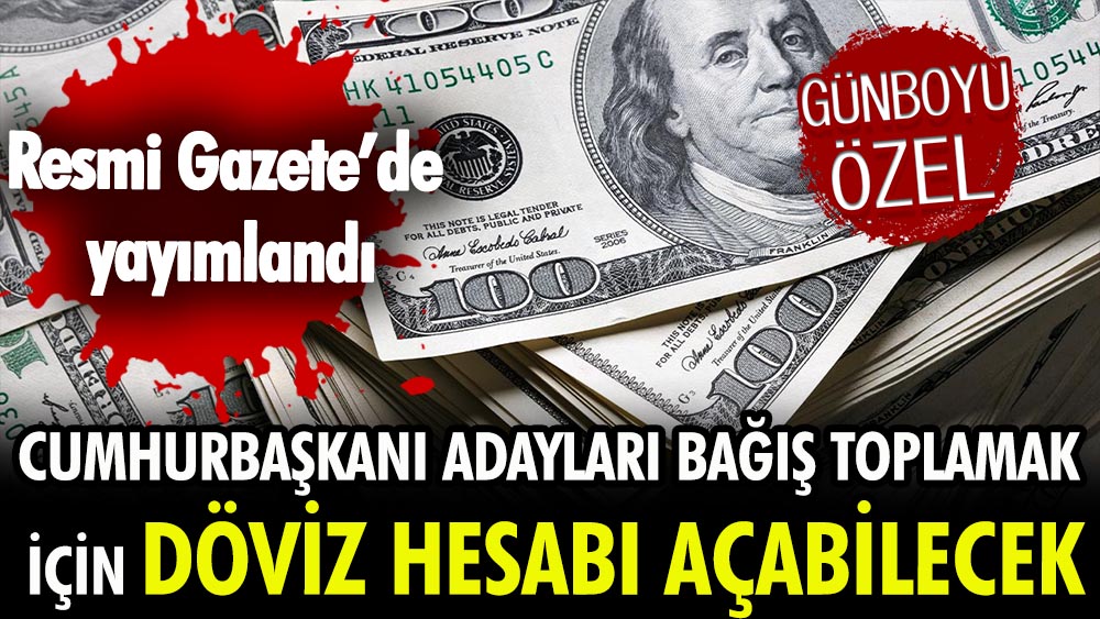 Cumhurbaşkanı adayları bağış toplamak için döviz hesabı açabilecek