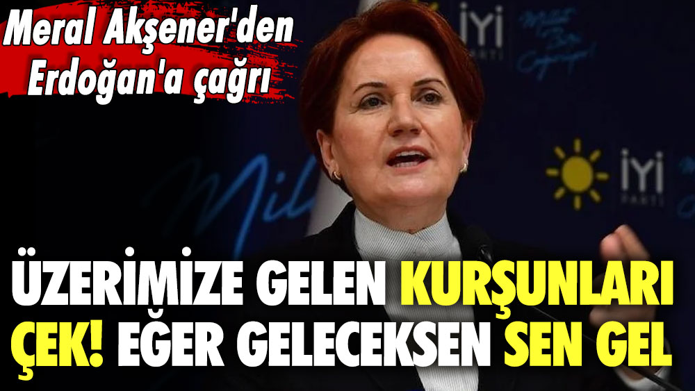 İYİ Parti il binasına saldırı sonrası Meral Akşener'den Erdoğan'a çağrı: Üzerimize gelen kurşunları çek