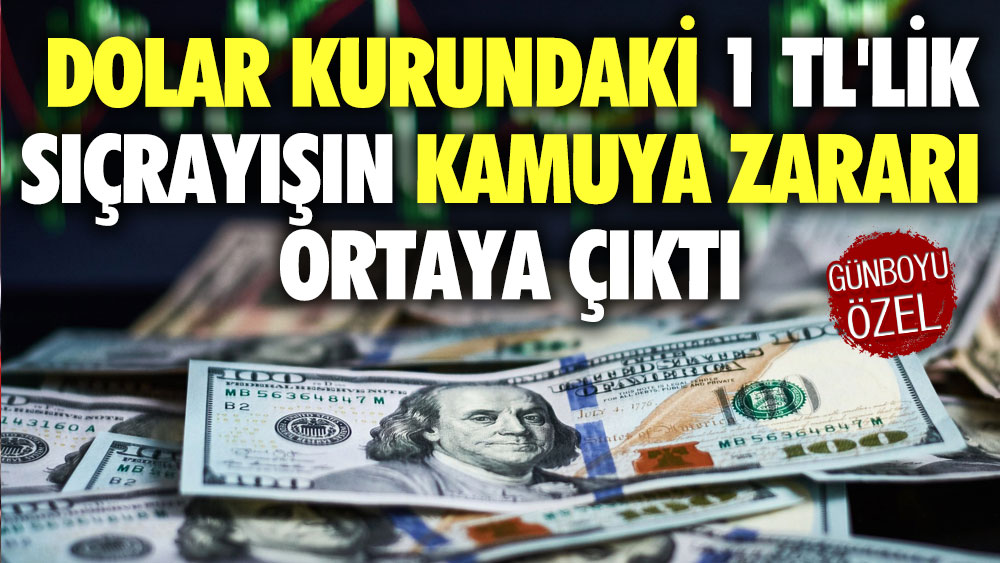 Dolar kurundaki 1 TL'lik sıçrayışın kamuya zararı ortaya çıktı