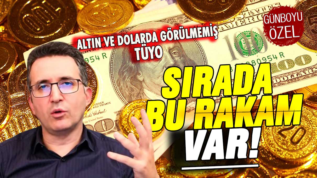 Altın ve dolar sahiplerine görülmemiş tüyo: Ünlü ekonomist dolar ve altını neyin beklediğini açıkladı