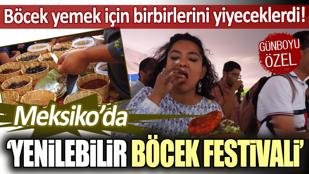 Meksika'da “Yenilebilir Böcek Festivali”