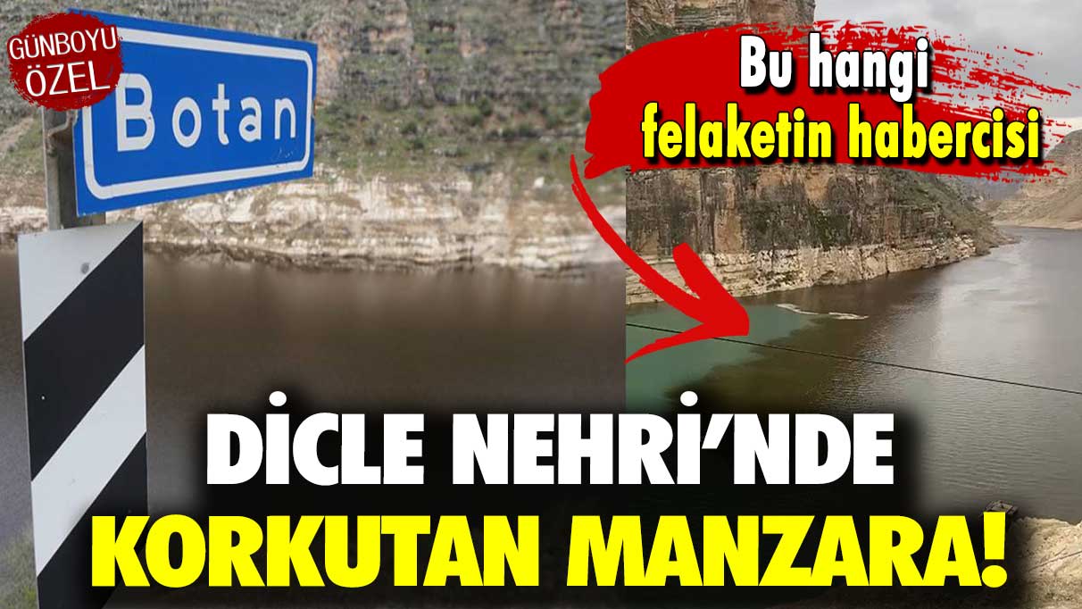 Dicle Nehri’nde korkutan manzara: Bu hangi felaketin habercisi?