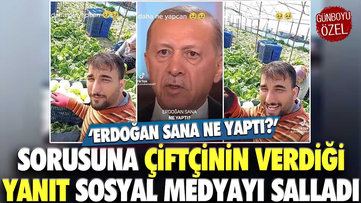 'Erdoğan sana ne yaptı?' sorusuna çiftçinin cevabı sosyal medyayı salladı