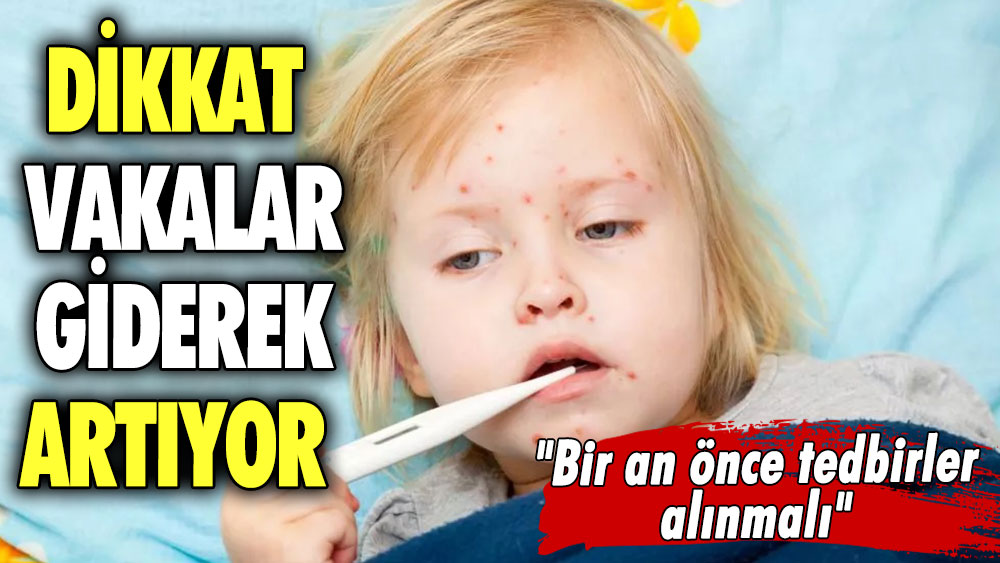 Dikkat vakalar giderek artıyor ''Bir an önce tedbirler alınmalı''