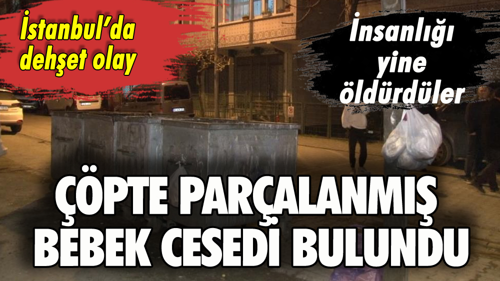 İstanbul'da dehşete düşüren olay: Çöpte parçalanmış bebek cesedi bulundu