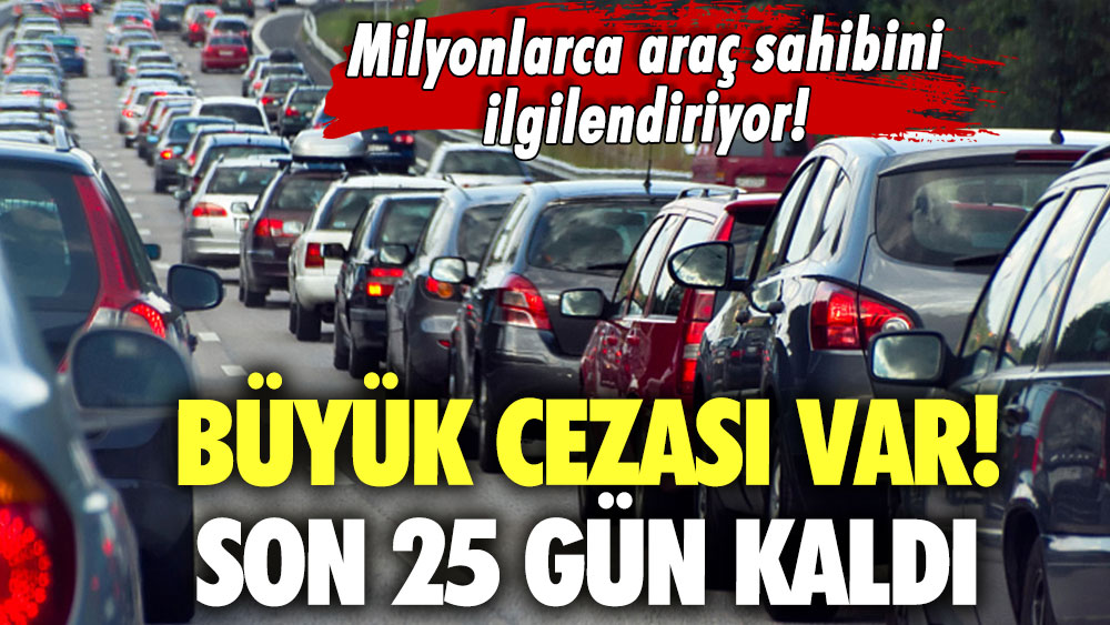 Milyonlarca araç sahibini ilgilendiriyor! Büyük cezası var: Son 25 gün kaldı