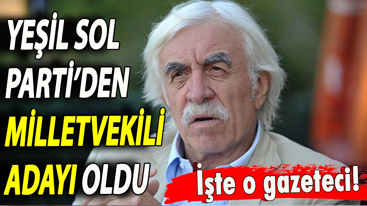 İşte o gazeteci! Yeşil Sol Parti’den milletvekili adayı oldu