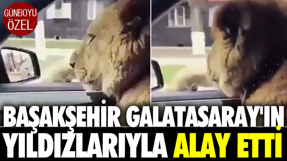 Başakşehir Galatasaray'ın yıldızlarıyla alay etti