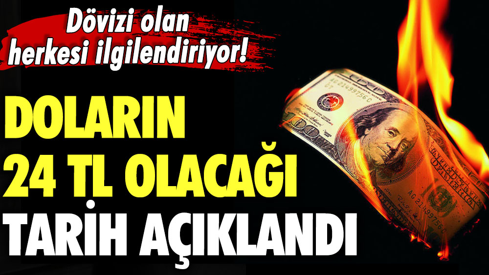 Doların 24 TL olacağı tarih açıklandı! Dövizi olan herkesi ilgilendiriyor