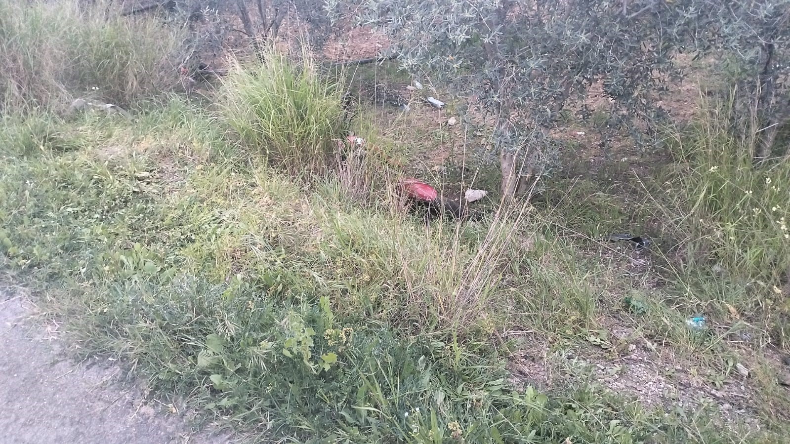 Şarampole devrilen motosikletteki 2 kişi yaralandı