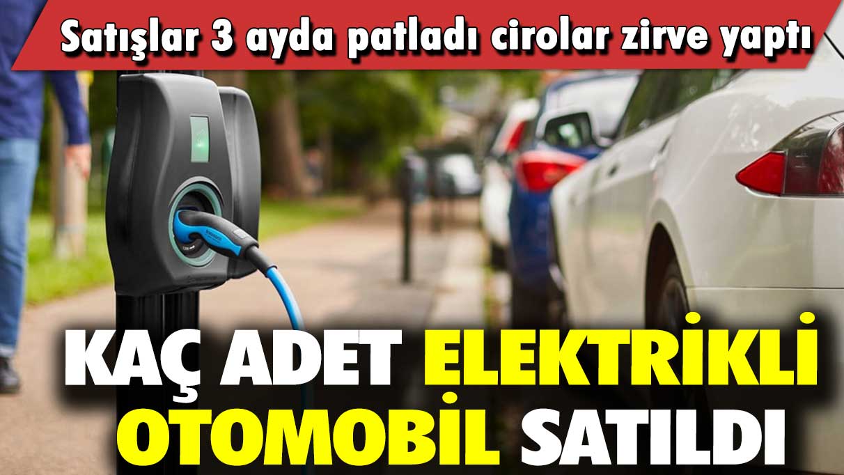 Satışlar 3 ayda patladı cirolar zirve yaptı: Kaç adet elektrikli otomobil satıldı