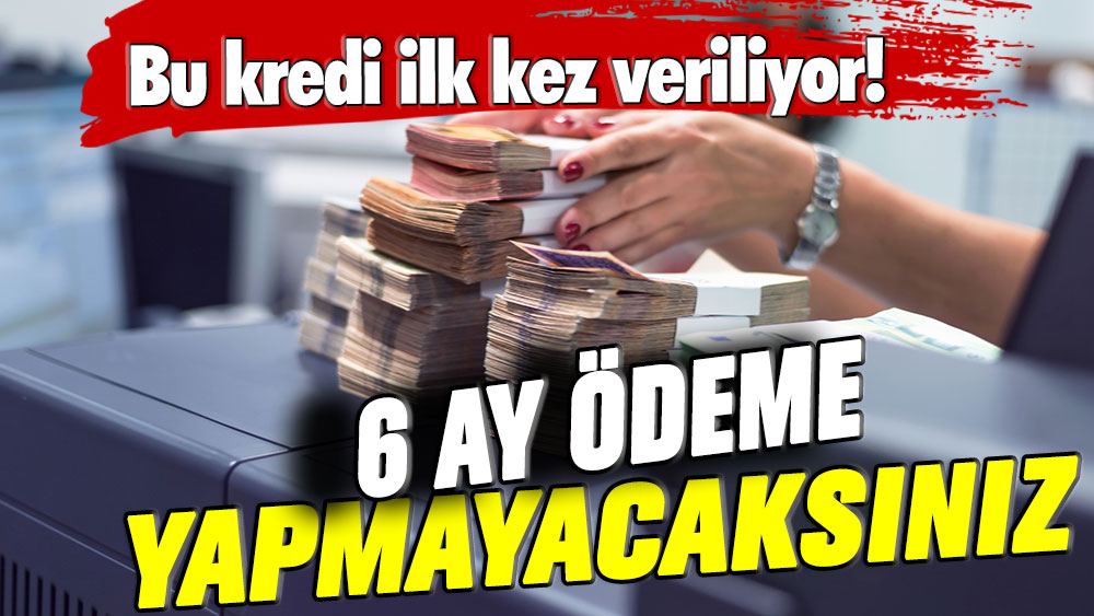 Bu kredi ilk kez veriliyor! 6 ay ödeme yapmayacaksınız