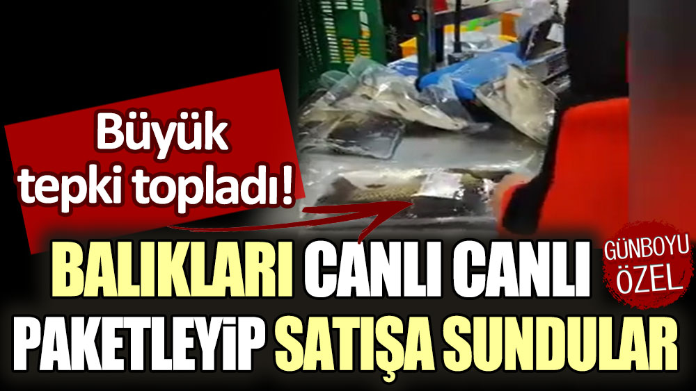 Büyük tepki çekti! Balıkları canlı olarak paketleyip satışa sundular