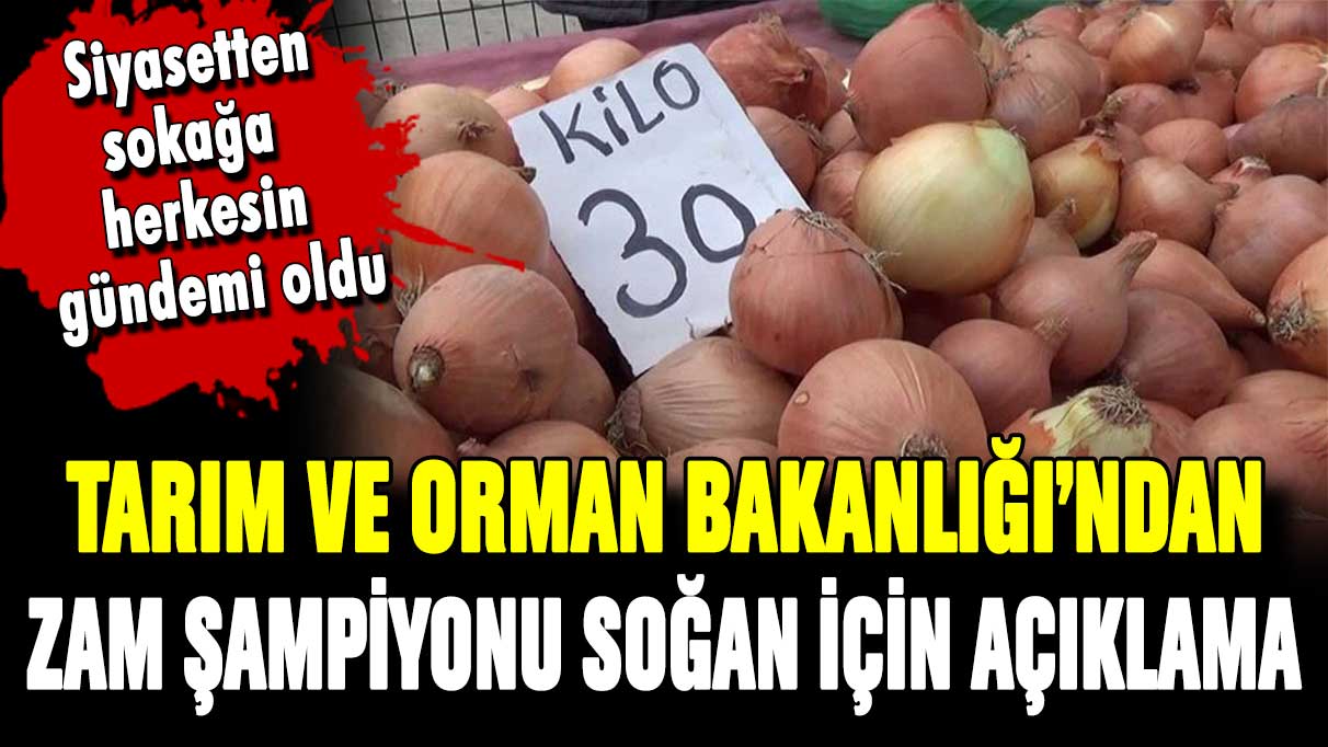 Tarım ve Orman Bakanlığı'ndan zam rekoru kıran soğan açıklaması